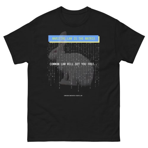 Unisex classic tee