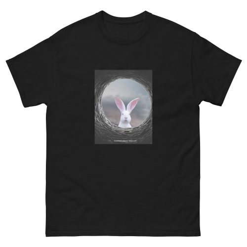 Unisex classic tee